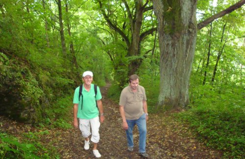 schöne Lindenallee