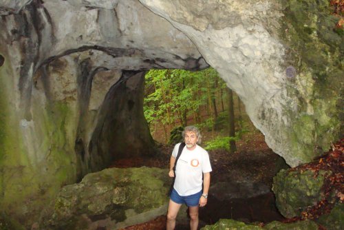 Schwingbogen