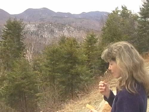 White Mountains