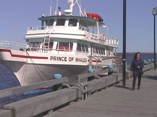 Prince of Whales