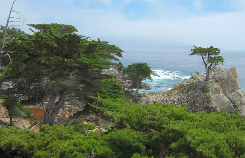 17-Mile Drive